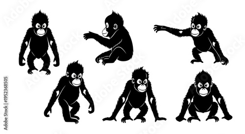 Set of Black Silhouettes of Baby Orangutans in Various Poses on White Background