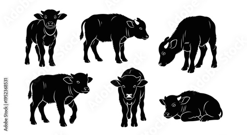 Set of Black Silhouettes of Buffalo Calves in Various Poses