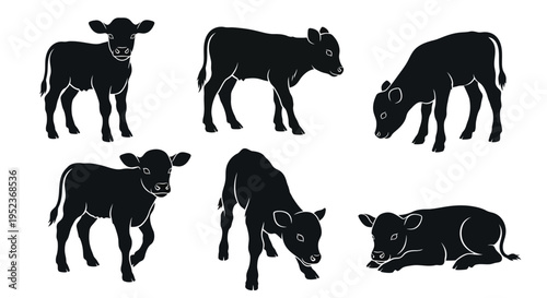 Set of Black Silhouettes of Calves in Various Poses, Farm Animals Collection
