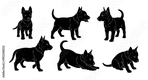 Set of Black Silhouettes of Dogs in Various Poses on White Background