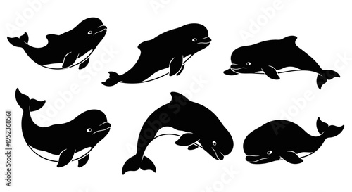 Set of Black Silhouettes of Dolphins and Whales in Various Poses on White Background