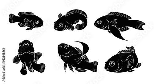 Set of black silhouettes of different fish, isolated on white background