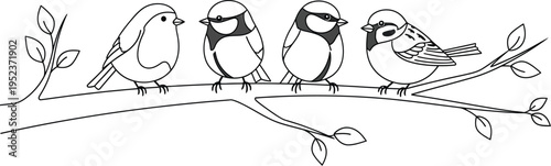 Minimalist black and white line art illustration showcasing four different charming birds sitting peacefully on a tree branch.