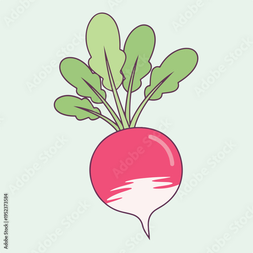 Colorful illustration of a beetroot vegetable.