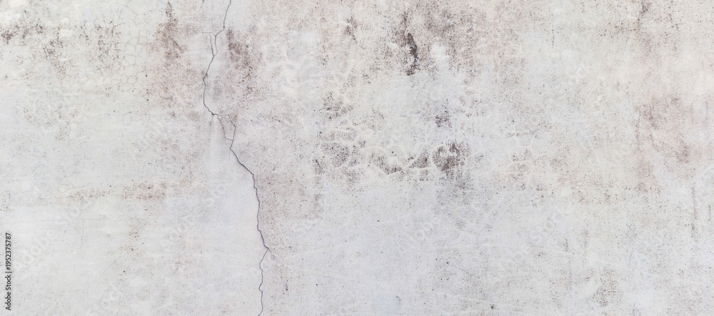 Fototapeta premium white painted wall