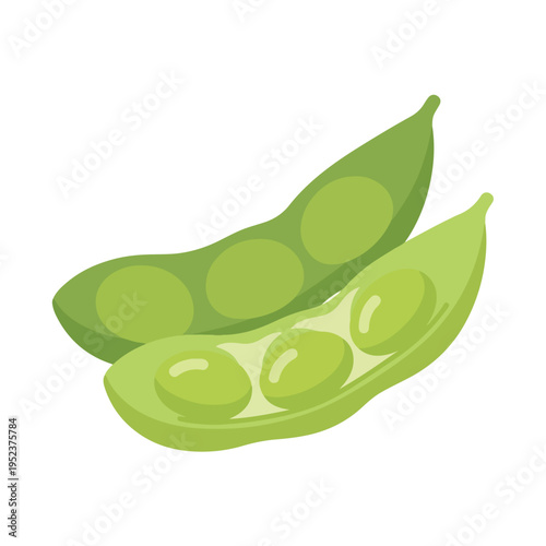 Green peas in pod illustration.