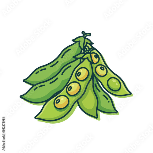 Green peas in pod illustration 1.