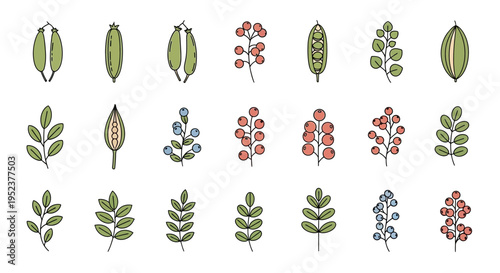 Illustrated botanical elements collection isolated on white background