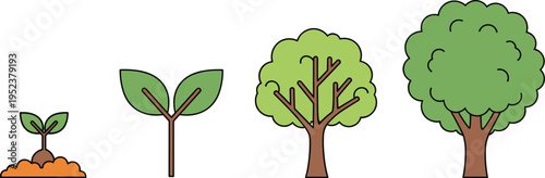 Tree growth stages illustration, plant development sequence, vector nature lifecycle, seedling to mature tree concept, environmental education graphic isolated