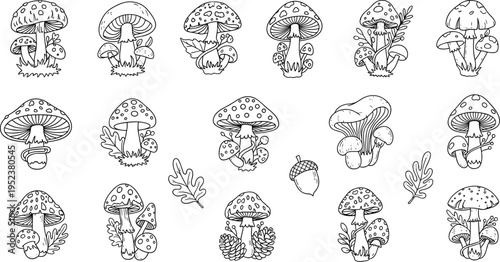 Collection of hand-drawn doodle mushrooms and forest elements in black and white