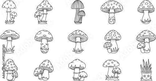 Collection of hand-drawn mushroom illustrations in a simple outline style