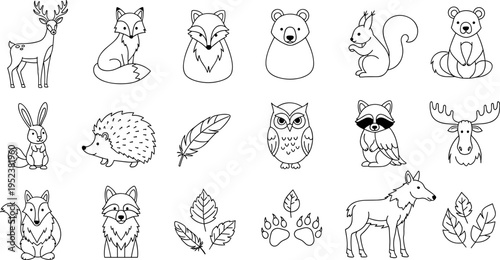 Collection of cute woodland animal illustrations in a simple line art style