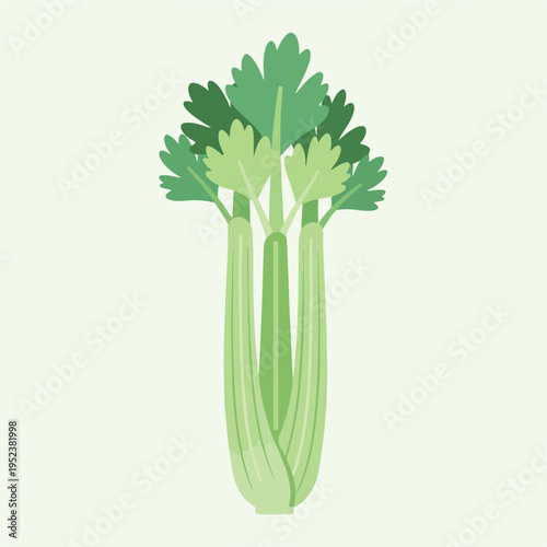 Fresh Green Celery Stalks with Leaves.