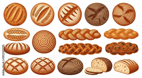 A delightful and diverse collection of freshly baked artisan bread, showcasing various rustic loaves, braided styles, and wholesome whole grain options