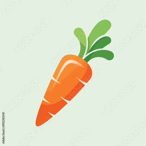 Fresh orange carrot vegetable illustration 1.
