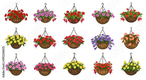 Collection of Vibrant Hanging Baskets Overflowing with Colorful Flowers in Various Hues
