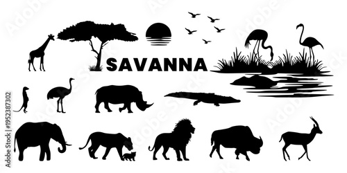Silhouette of savanna animal set with giraffe, elephant, lion and rhinoceros. Vector illustration of african wildlife for graphic design, nature education icons and banner element.