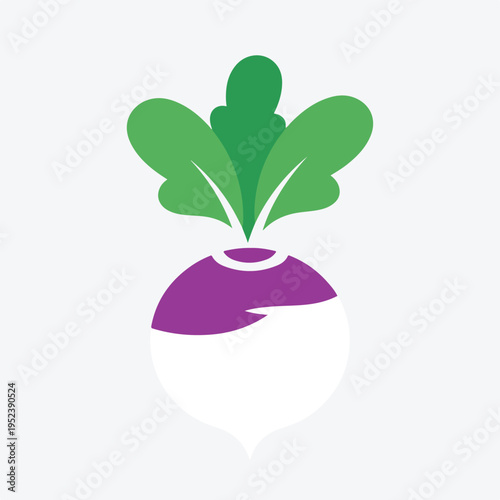 Purple Turnip Root Vegetable Illustration 1.