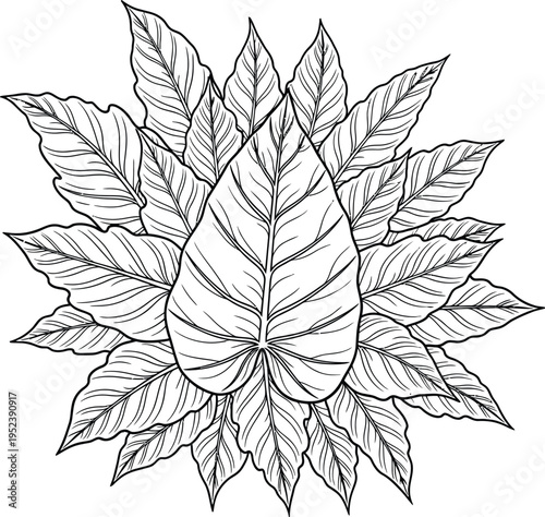 Detailed illustration of a plant with multiple leaves