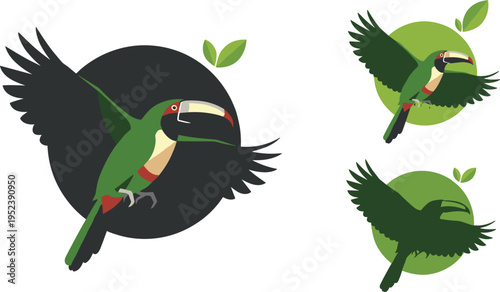 Stylized Toucan Bird Logo Collection with Flying Pose and Minimalist Design Nature Element Vector Illustration Set