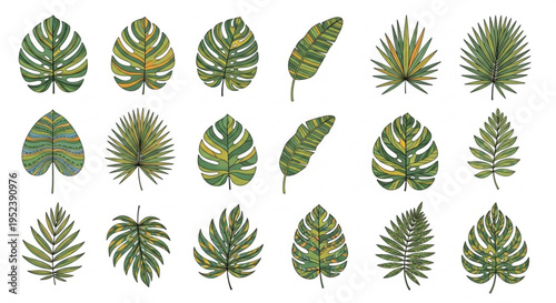 Collection of diverse tropical palm leaves in a variety of green and yellow hues, perfect for nature-inspired designs and botanical illustrations