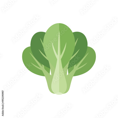 Green leafy vegetable illustration closeup 1.
