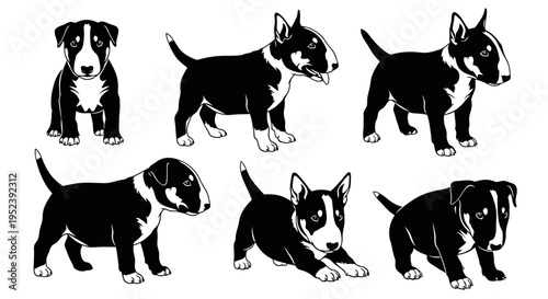 Set of Bull Terrier Dog Silhouettes in Various Poses