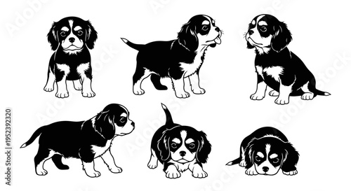 Set of Cavalier King Charles Spaniel Puppies in Various Poses - Black and White Vector Art