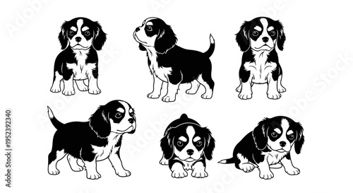 Set of Cavalier King Charles Spaniel Puppies in Various Poses, Black and White Vector Illustration