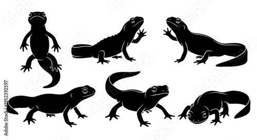 Set of Black Silhouettes of Salamanders in Various Poses on White Background