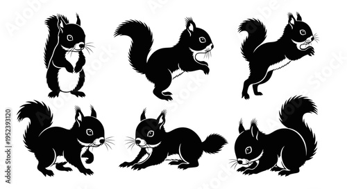 Set of Black Squirrel Silhouettes in Various Poses on White Background