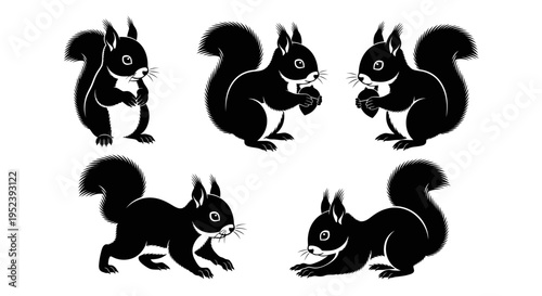Set of Black Squirrel Silhouettes in Various Poses on White Background