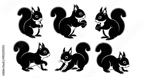 Set of Black Squirrel Silhouettes in Various Poses