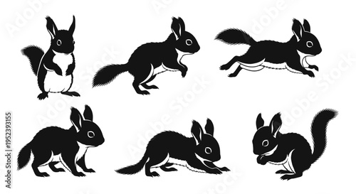 Set of Black Squirrel Silhouettes in Various Poses on White Background
