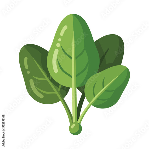 Green leafy vegetable plant closeup.