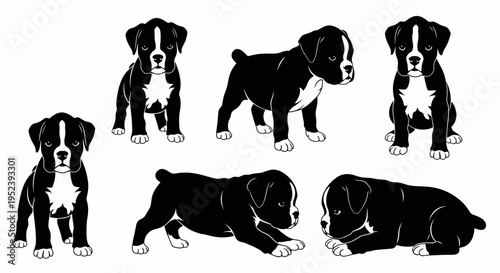 Set of Boxer Puppies Silhouettes: Playful Poses, Adorable Companions