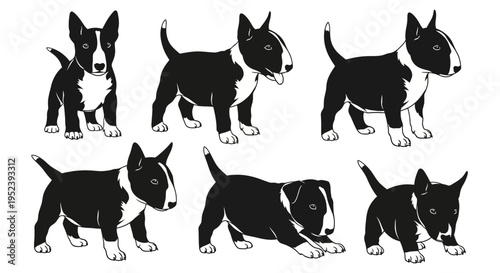Set of Bull Terrier Dog Silhouettes in Various Poses