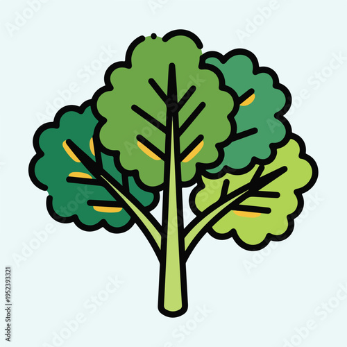 Green leafy vegetable plant illustration.