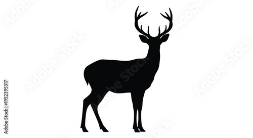 A majestic stag stands proudly captured in stark black silhouette