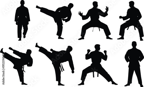 Martial arts silhouette illustration set, karate and taekwondo artwork, combat sports design inspiration, martial artist pose collection