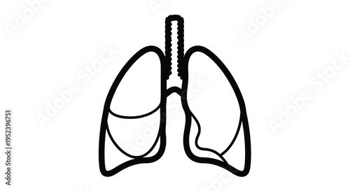 Diagram of human lungs and breathing tube a stark silhouette