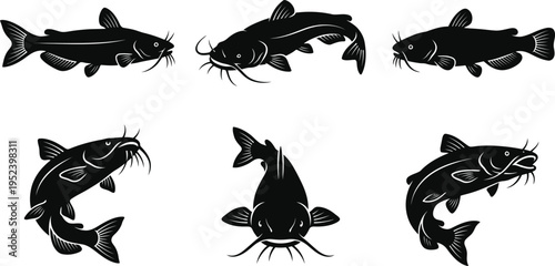 Catfish Silhouette Vector Set | Fish Aquatic Animal Wildlife Icon