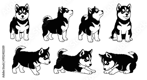 Set of cute husky puppies in different poses, black and white illustration