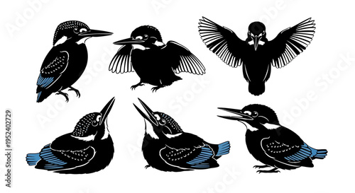 Set of Kingfisher Bird Silhouettes in Various Poses, Black and Blue Vector Illustrations