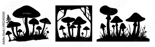 Mushroom forest set with silhouette against twilight canopy featuring mushrooms, fungi, forest with black and white and night sky
