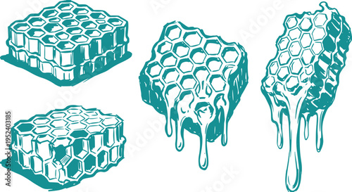 Honeycomb Vector Set, Hand Drawn Dripping Honey Clipart Design, Bee Hive Line Art Illustration Collection.