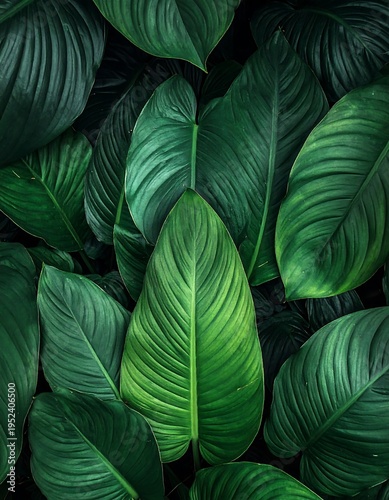 Close-up of lush, vibrant green leaves with detailed veining and textures