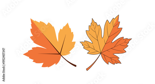 Two vibrant orange autumn maple leaves are depicted in a flat graphic style showing their distinct shapes and veins.