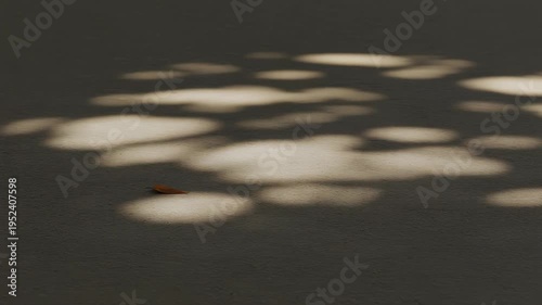 Shot of sunlight casting moving leaf shadows on a textured surface. Semi-realistic scene emphasizing light patterns, gentle motion, and natural, calming atmosphere.