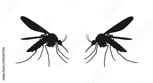 Two mosquitoes facing each other in a stark black silhouette